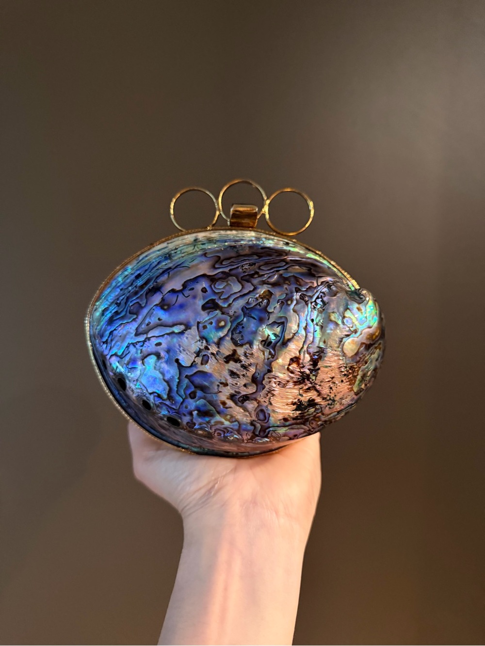 Iridescent Abalone Shell Clutch with Gold Accent